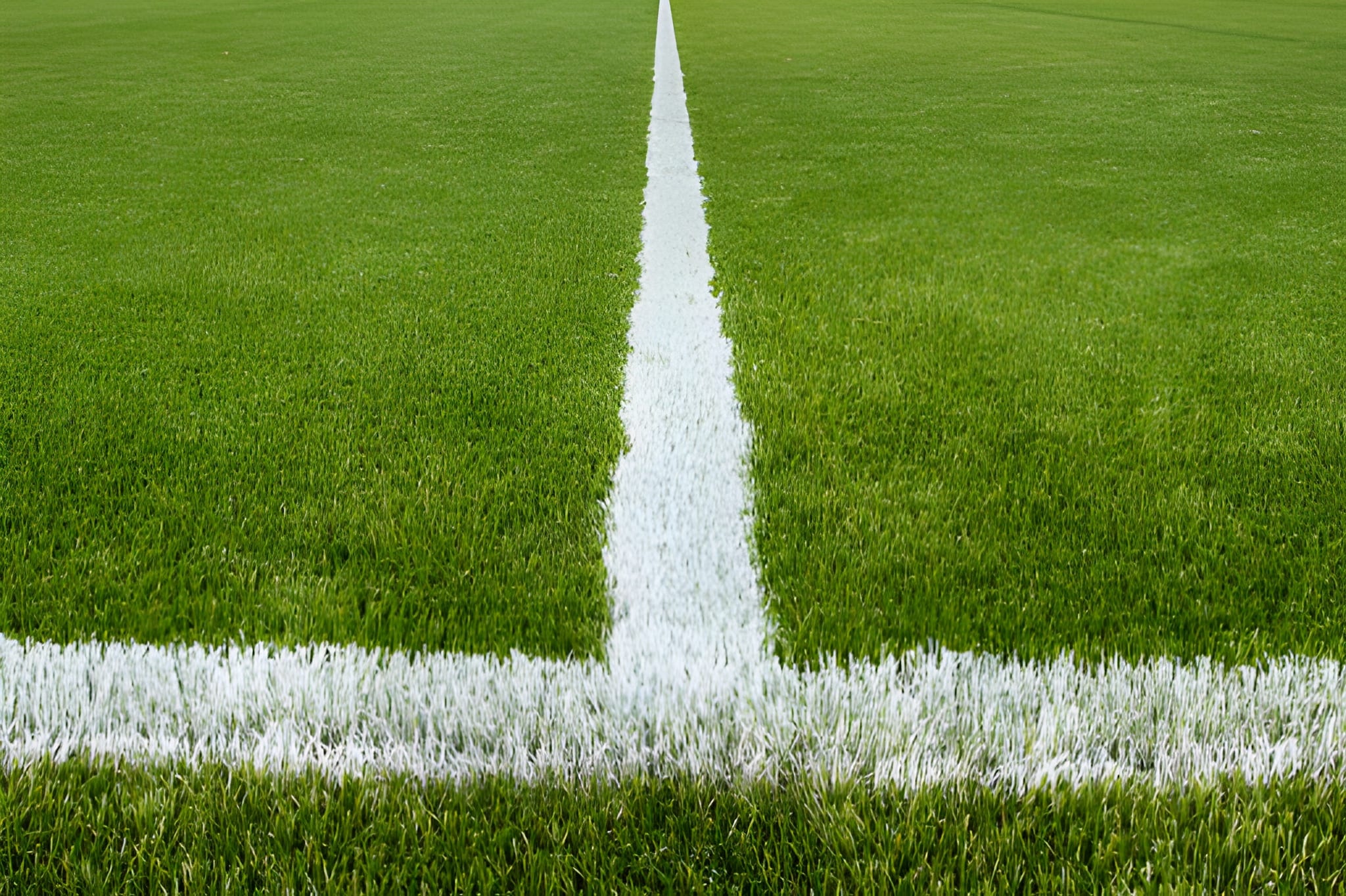 Artificial Turf for Sports
